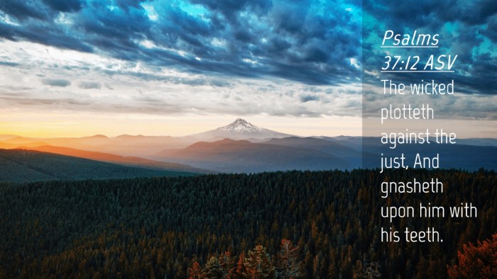 Picture 04 - Psalms 37:12 ASV Desktop Wallpaper - The wicked plotteth against the just, And - Desktop Bible Verse Wallpaper