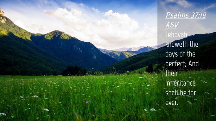 Picture 04 - Psalms 37:18 ASV Desktop Wallpaper - Jehovah knoweth the days of the perfect; And - Desktop Bible Verse Wallpaper