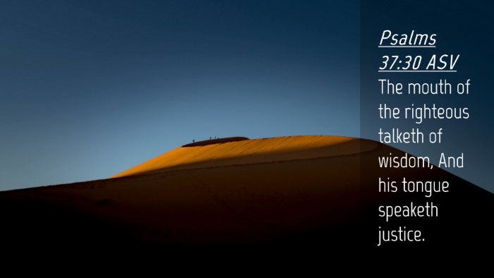 Picture 04 - Psalms 37:30 ASV Desktop Wallpaper - The mouth of the righteous talketh of wisdom, And - Desktop Bible Verse Wallpaper