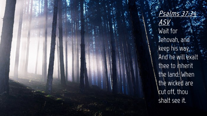 Picture 04 - Psalms 37:34 ASV Desktop Wallpaper - Wait for Jehovah, and keep his way, And he will - Desktop Bible Verse Wallpaper