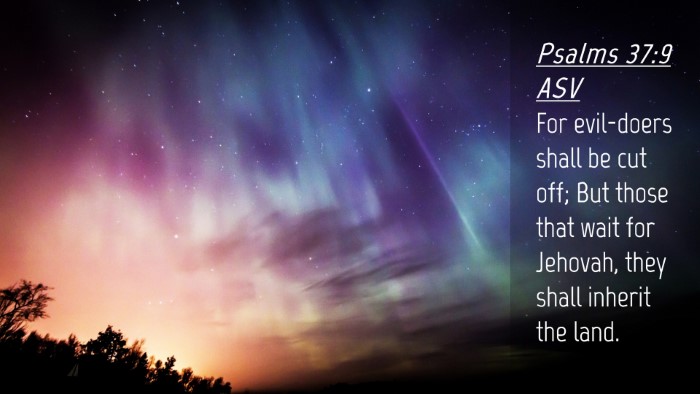 Picture 04 - Psalms 37:9 ASV Desktop Wallpaper - For evil-doers shall be cut off; But those that - Desktop Bible Verse Wallpaper