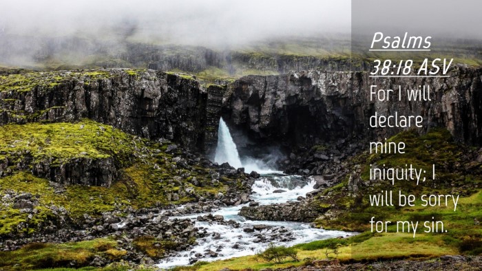 Picture 04 - Psalms 38:18 ASV Desktop Wallpaper - For I will declare mine iniquity; I will be sorry - Desktop Bible Verse Wallpaper