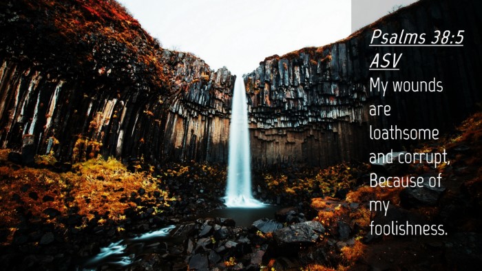 Picture 04 - Psalms 38:5 ASV Desktop Wallpaper - My wounds are loathsome and corrupt, Because of - Desktop Bible Verse Wallpaper