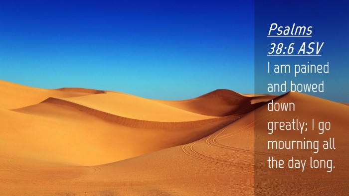 Picture 04 - Psalms 38:6 ASV Desktop Wallpaper - I am pained and bowed down greatly; I go mourning - Desktop Bible Verse Wallpaper