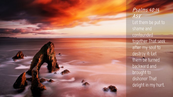 Picture 04 - Psalms 40:14 ASV Desktop Wallpaper - Let them be put to shame and confounded together - Desktop Bible Verse Wallpaper