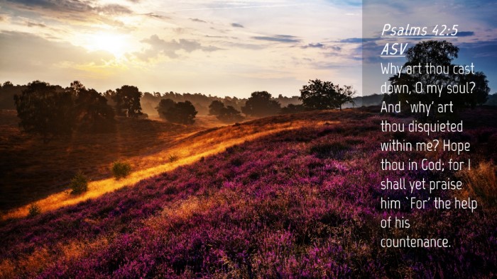 Picture 04 - Psalms 42:5 ASV Desktop Wallpaper - Why art thou cast down, O my soul? And `why' art - Desktop Bible Verse Wallpaper