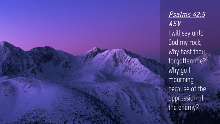 Picture 04 - Psalms 42:9 ASV Desktop Wallpaper - I will say unto God my rock, Why hast thou - Desktop Bible Verse Wallpaper