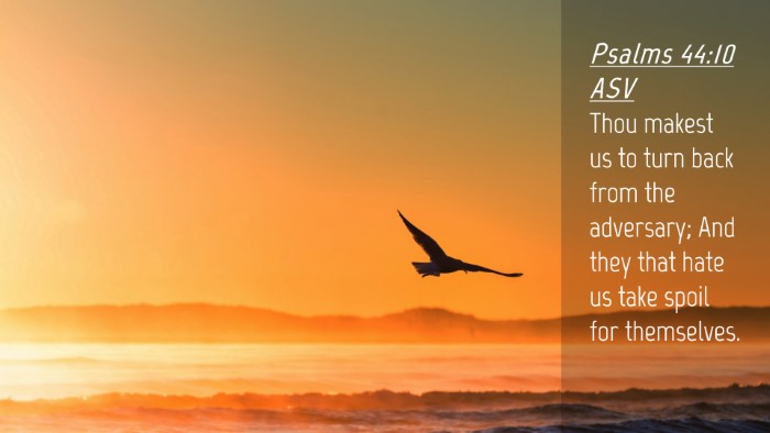 Picture 04 - Psalms 44:10 ASV Desktop Wallpaper - Thou makest us to turn back from the adversary; - Desktop Bible Verse Wallpaper