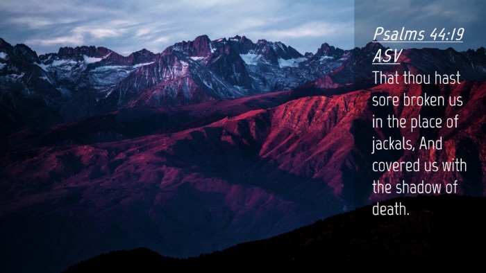 Picture 04 - Psalms 44:19 ASV Desktop Wallpaper - That thou hast sore broken us in the place of - Desktop Bible Verse Wallpaper