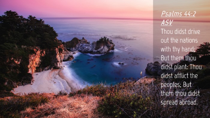Picture 04 - Psalms 44:2 ASV Desktop Wallpaper - Thou didst drive out the nations with thy hand; - Desktop Bible Verse Wallpaper