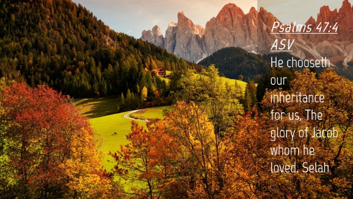 Picture 04 - Psalms 47:4 ASV Desktop Wallpaper - He chooseth our inheritance for us, The glory of - Desktop Bible Verse Wallpaper