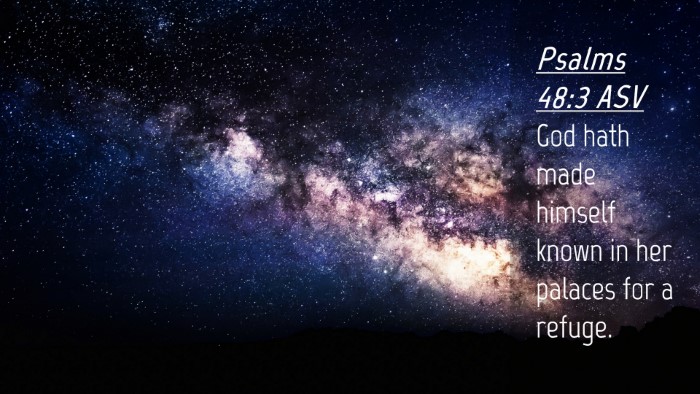 Picture 04 - Psalms 48:3 ASV Desktop Wallpaper - God hath made himself known in her palaces for a - Desktop Bible Verse Wallpaper