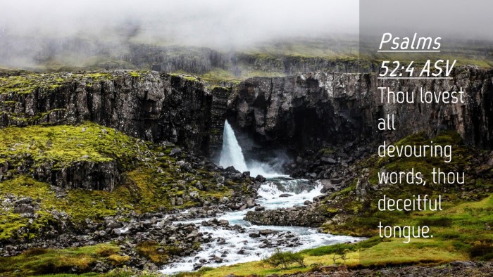 Picture 04 - Psalms 52:4 ASV Desktop Wallpaper - Thou lovest all devouring words, thou deceitful - Desktop Bible Verse Wallpaper