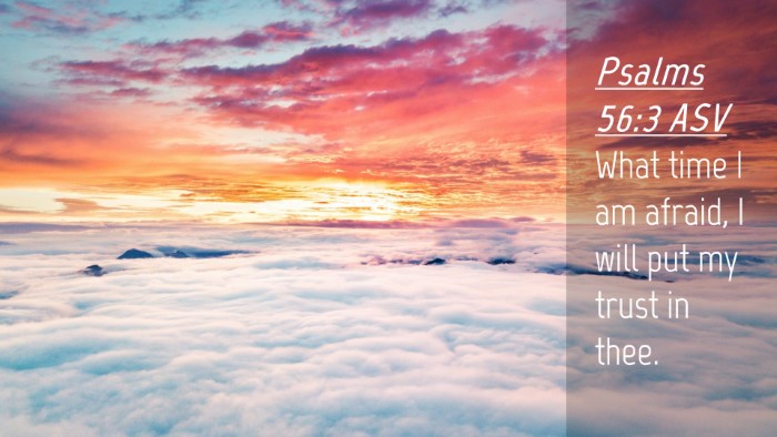 Picture 04 - Psalms 56:3 ASV Desktop Wallpaper - What time I am afraid, I will put my trust in - Desktop Bible Verse Wallpaper