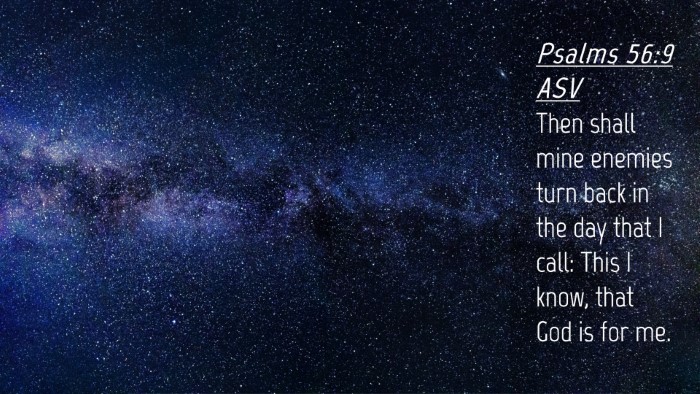 Picture 04 - Psalms 56:9 ASV Desktop Wallpaper - Then shall mine enemies turn back in the day that - Desktop Bible Verse Wallpaper