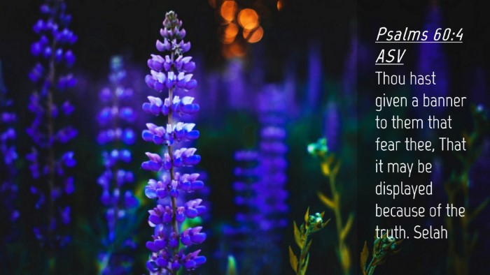 Picture 04 - Psalms 60:4 ASV Desktop Wallpaper - Thou hast given a banner to them that fear thee, - Desktop Bible Verse Wallpaper