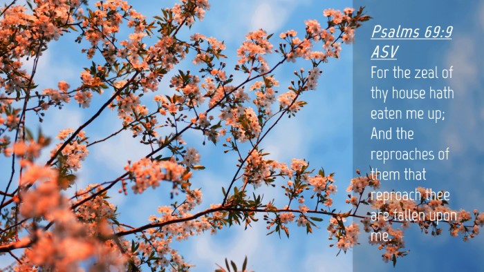 Picture 04 - Psalms 69:9 ASV Desktop Wallpaper - For the zeal of thy house hath eaten me up; And - Desktop Bible Verse Wallpaper