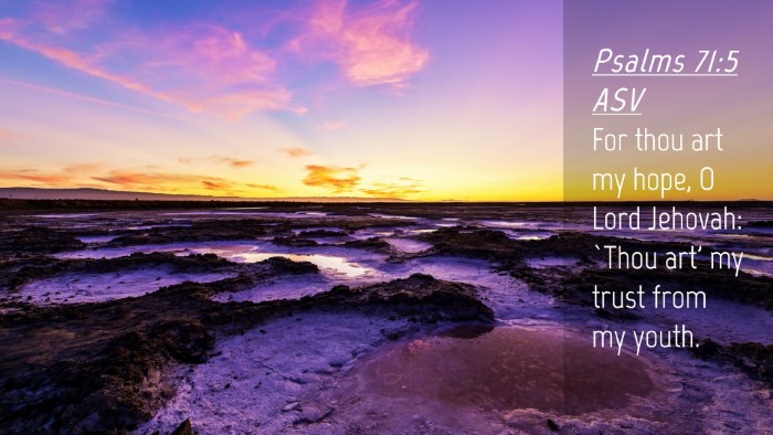 Picture 04 - Psalms 71:5 ASV Desktop Wallpaper - For thou art my hope, O Lord Jehovah: `Thou art' - Desktop Bible Verse Wallpaper