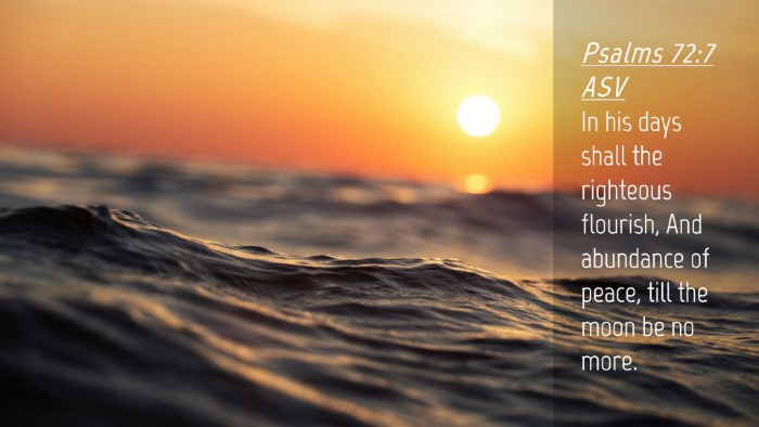 Picture 04 - Psalms 72:7 ASV Desktop Wallpaper - In his days shall the righteous flourish, And - Desktop Bible Verse Wallpaper
