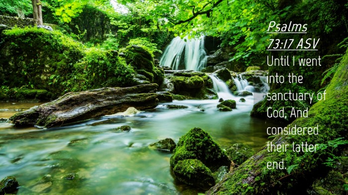 Picture 04 - Psalms 73:17 ASV Desktop Wallpaper - Until I went into the sanctuary of God, And - Desktop Bible Verse Wallpaper