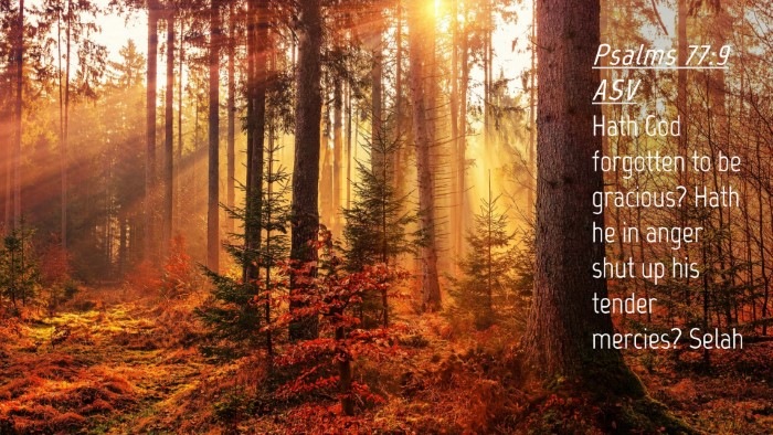 Picture 04 - Psalms 77:9 ASV Desktop Wallpaper - Hath God forgotten to be gracious? Hath he in - Desktop Bible Verse Wallpaper