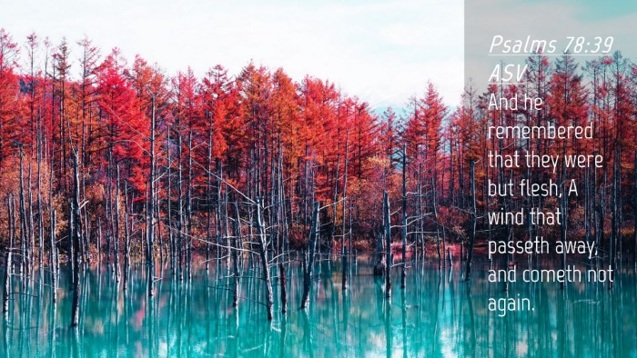 Picture 04 - Psalms 78:39 ASV Desktop Wallpaper - And he remembered that they were but flesh, A - Desktop Bible Verse Wallpaper