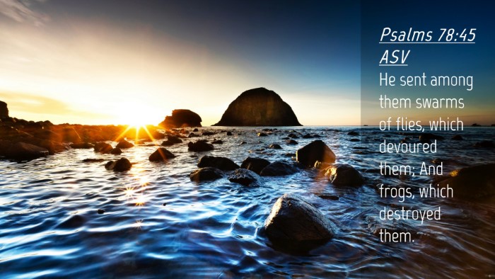 Picture 04 - Psalms 78:45 ASV Desktop Wallpaper - He sent among them swarms of flies, which - Desktop Bible Verse Wallpaper