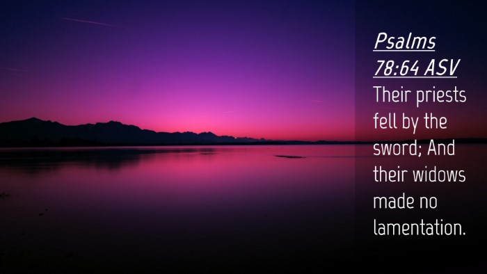 Picture 04 - Psalms 78:64 ASV Desktop Wallpaper - Their priests fell by the sword; And their widows - Desktop Bible Verse Wallpaper