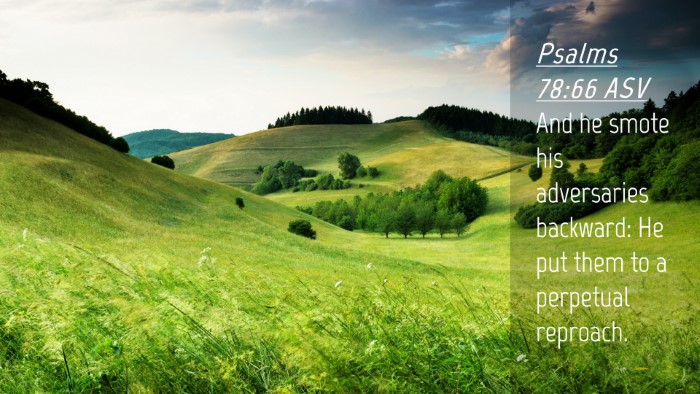 Picture 04 - Psalms 78:66 ASV Desktop Wallpaper - And he smote his adversaries backward: He put - Desktop Bible Verse Wallpaper