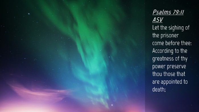 Picture 04 - Psalms 79:11 ASV Desktop Wallpaper - Let the sighing of the prisoner come before thee: - Desktop Bible Verse Wallpaper