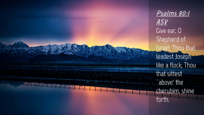Picture 04 - Psalms 80:1 ASV Desktop Wallpaper - Give ear, O Shepherd of Israel, Thou that leadest - Desktop Bible Verse Wallpaper