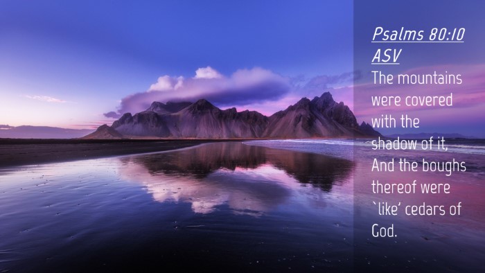 Picture 04 - Psalms 80:10 ASV Desktop Wallpaper - The mountains were covered with the shadow of it, - Desktop Bible Verse Wallpaper