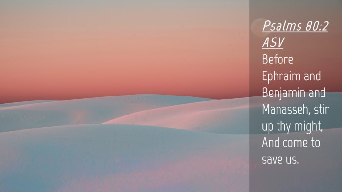 Picture 04 - Psalms 80:2 ASV Desktop Wallpaper - Before Ephraim and Benjamin and Manasseh, stir up - Desktop Bible Verse Wallpaper