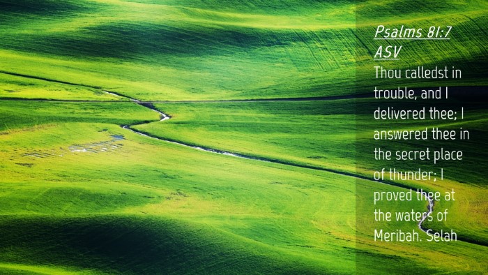 Picture 04 - Psalms 81:7 ASV Desktop Wallpaper - Thou calledst in trouble, and I delivered thee; I - Desktop Bible Verse Wallpaper