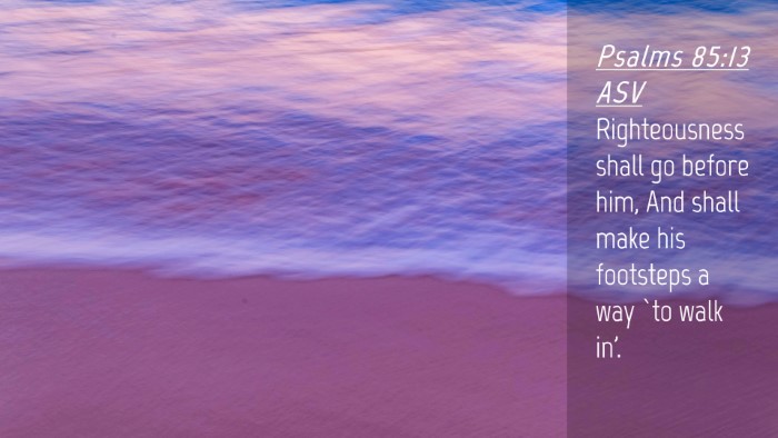 Picture 04 - Psalms 85:13 ASV Desktop Wallpaper - Righteousness shall go before him, And shall make - Desktop Bible Verse Wallpaper