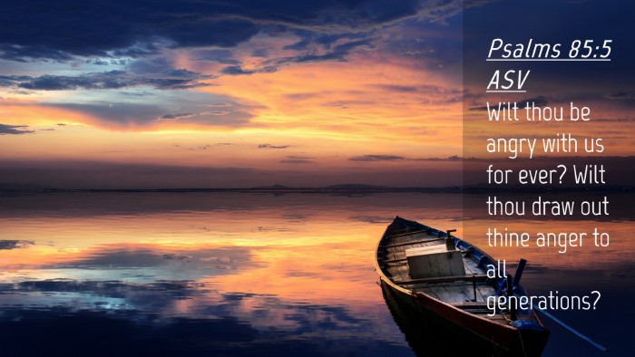 Picture 04 - Psalms 85:5 ASV Desktop Wallpaper - Wilt thou be angry with us for ever? Wilt thou - Desktop Bible Verse Wallpaper