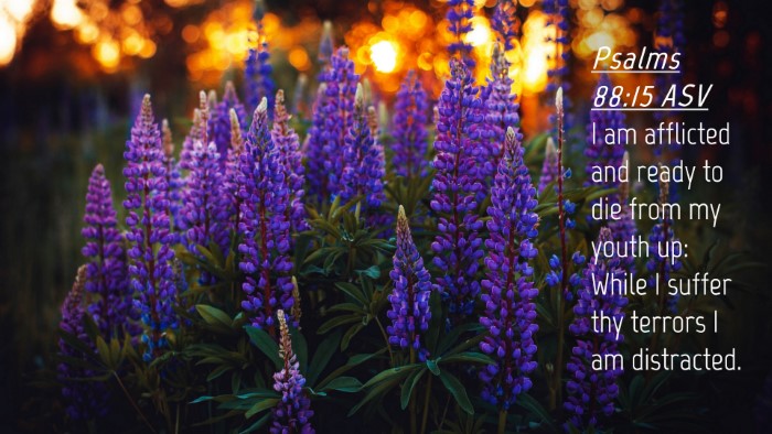 Picture 04 - Psalms 88:15 ASV Desktop Wallpaper - I am afflicted and ready to die from my youth up: - Desktop Bible Verse Wallpaper