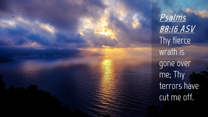 Picture 04 - Psalms 88:16 ASV Desktop Wallpaper - Thy fierce wrath is gone over me; Thy terrors - Desktop Bible Verse Wallpaper
