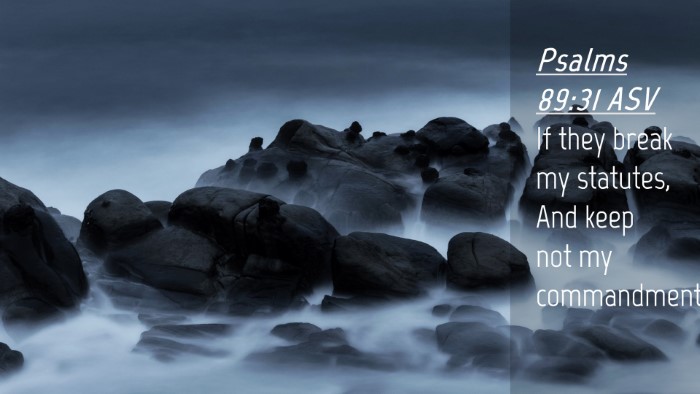 Picture 04 - Psalms 89:31 ASV Desktop Wallpaper - If they break my statutes, And keep not my - Desktop Bible Verse Wallpaper