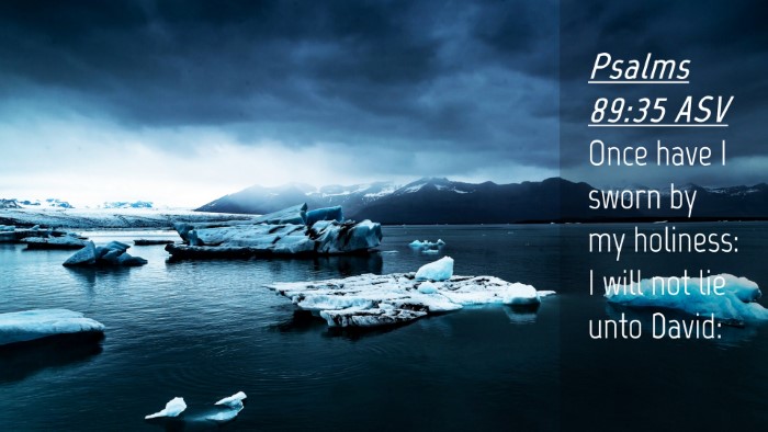 Picture 04 - Psalms 89:35 ASV Desktop Wallpaper - Once have I sworn by my holiness: I will not lie - Desktop Bible Verse Wallpaper