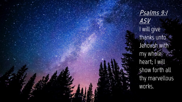Picture 04 - Psalms 9:1 ASV Desktop Wallpaper - I will give thanks unto Jehovah with my whole - Desktop Bible Verse Wallpaper