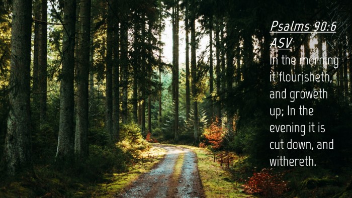 Picture 04 - Psalms 90:6 ASV Desktop Wallpaper - In the morning it flourisheth, and groweth up; In - Desktop Bible Verse Wallpaper