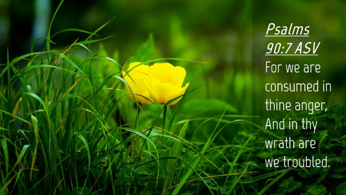Picture 04 - Psalms 90:7 ASV Desktop Wallpaper - For we are consumed in thine anger, And in thy - Desktop Bible Verse Wallpaper