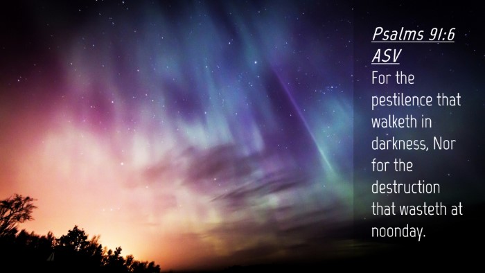 Picture 04 - Psalms 91:6 ASV Desktop Wallpaper - For the pestilence that walketh in darkness, Nor - Desktop Bible Verse Wallpaper