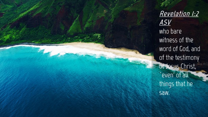 Picture 04 - Revelation 1:2 ASV Desktop Wallpaper - who bare witness of the word of God, and of the - Desktop Bible Verse Wallpaper