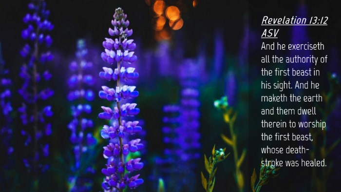 Picture 04 - Revelation 13:12 ASV Desktop Wallpaper - And he exerciseth all the authority of the first - Desktop Bible Verse Wallpaper
