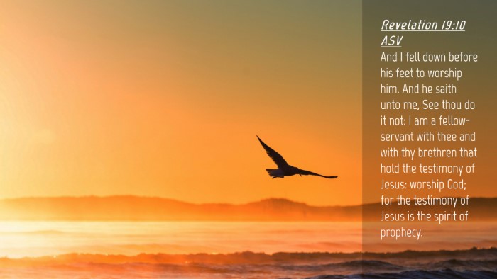 Picture 04 - Revelation 19:10 ASV Desktop Wallpaper - And I fell down before his feet to worship him. - Desktop Bible Verse Wallpaper