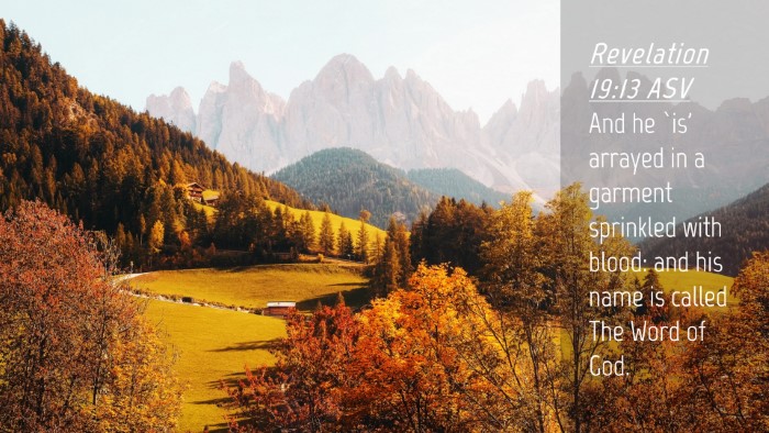 Picture 04 - Revelation 19:13 ASV Desktop Wallpaper - And he `is' arrayed in a garment sprinkled with - Desktop Bible Verse Wallpaper