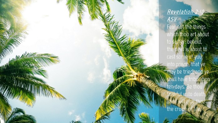 Picture 04 - Revelation 2:10 ASV Desktop Wallpaper - Fear not the things which thou art about to - Desktop Bible Verse Wallpaper