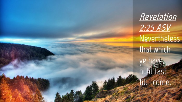 Picture 04 - Revelation 2:25 ASV Desktop Wallpaper - Nevertheless that which ye have, hold fast till I - Desktop Bible Verse Wallpaper
